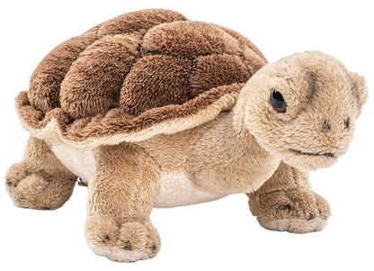 Peluche Tortue