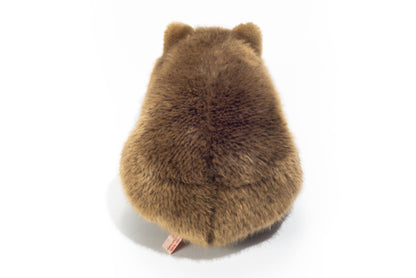 Peluche Wombat