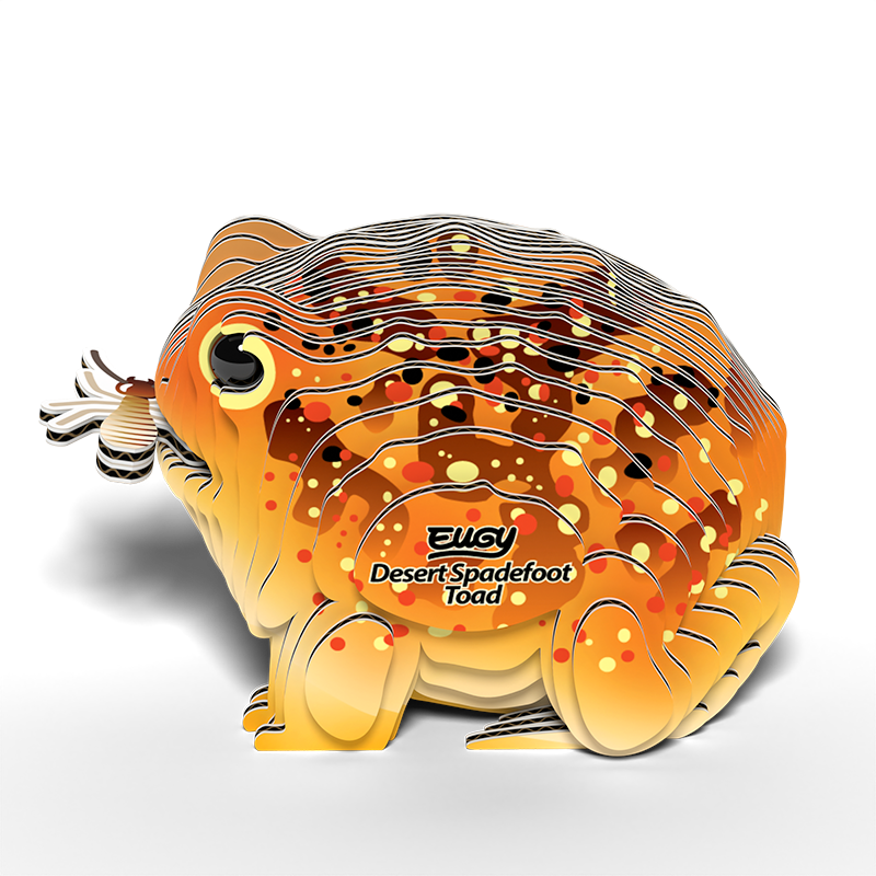 eugy 117 desert spadefoot toad