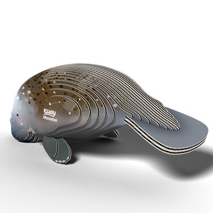 eugy 122 manatee