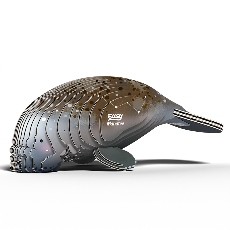 eugy 122 manatee