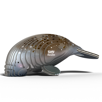 eugy 122 manatee