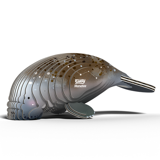 eugy 122 manatee