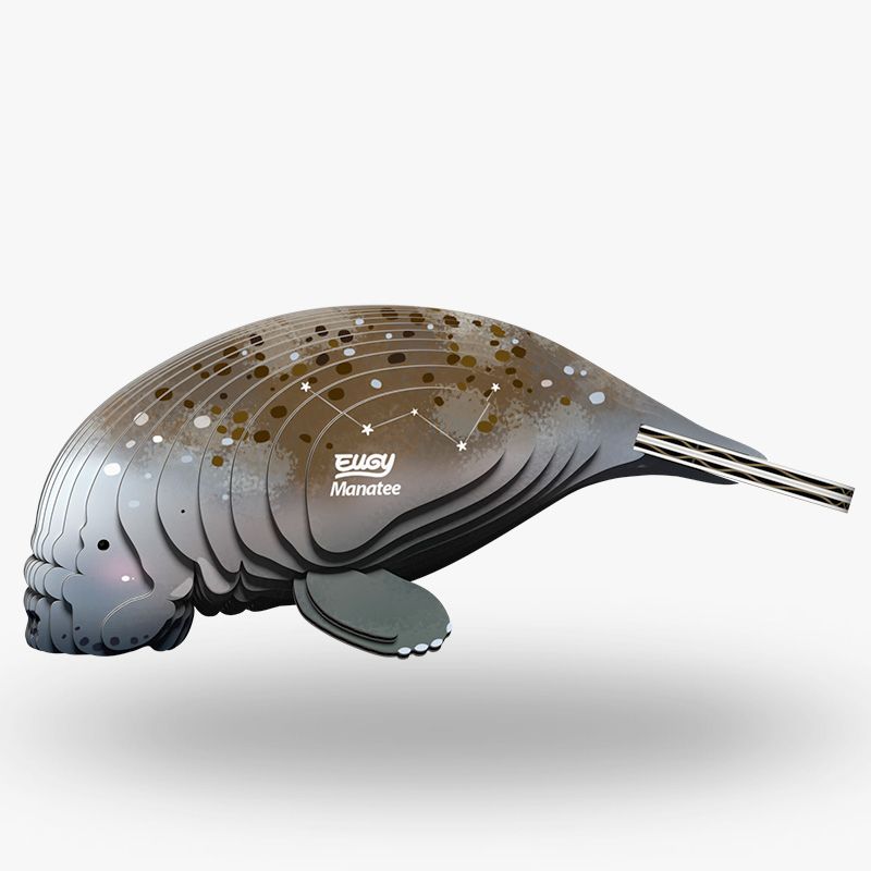 eugy 122 manatee