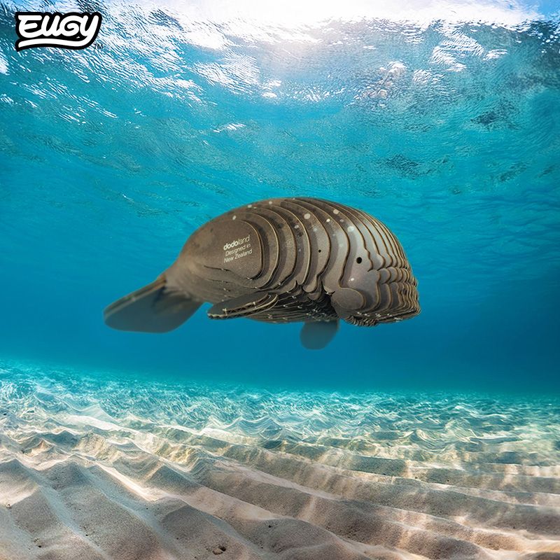 eugy 122 manatee