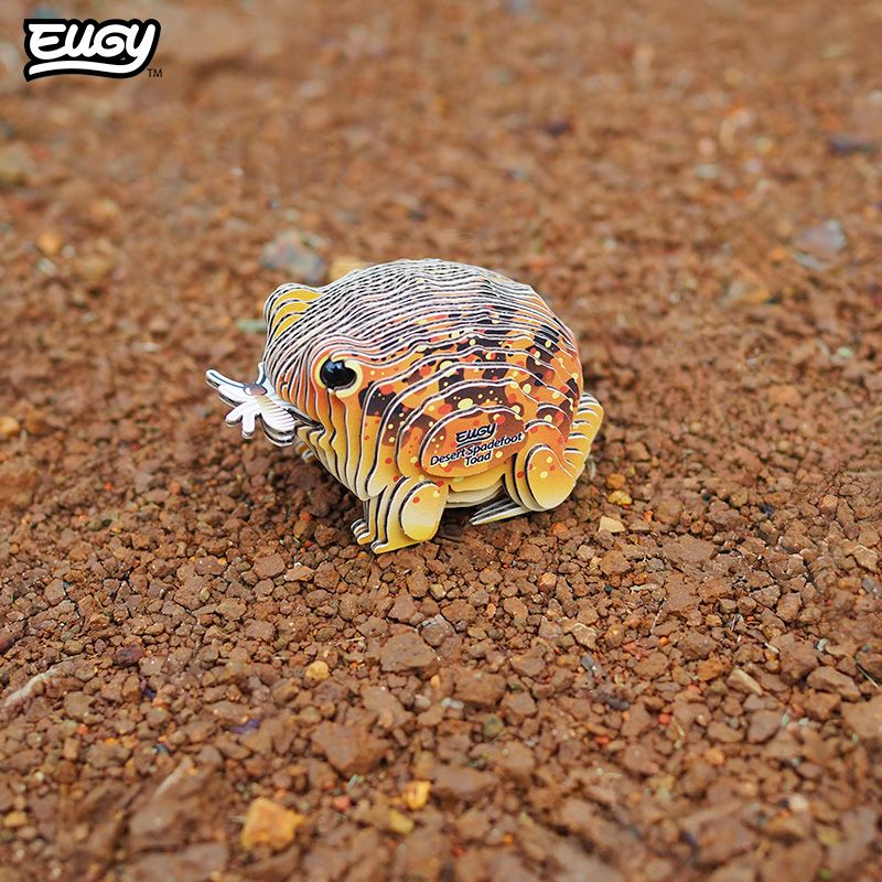 eugy 117 desert spadefoot toad