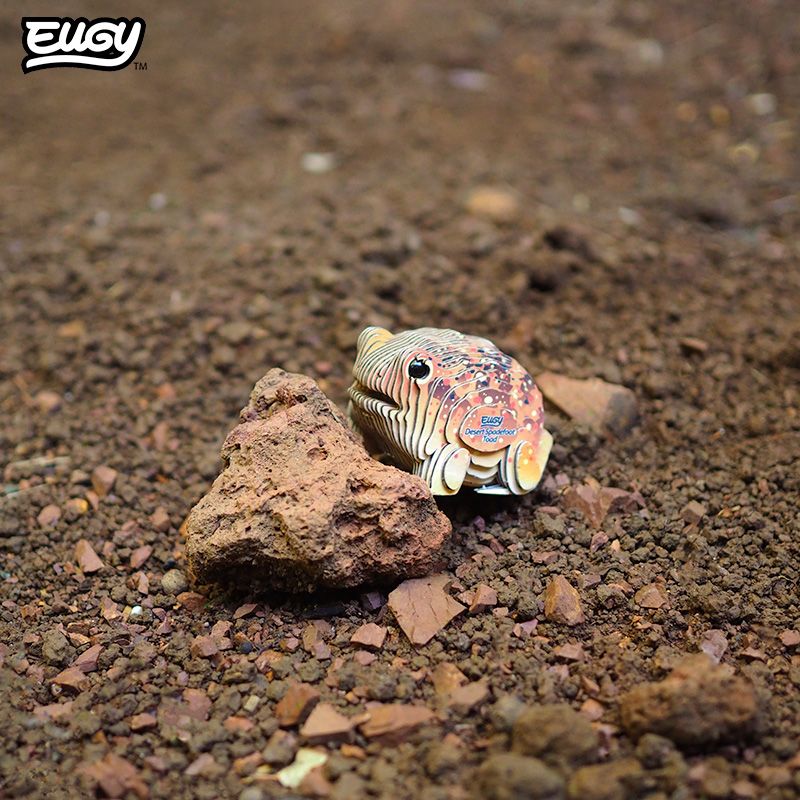 eugy 117 desert spadefoot toad