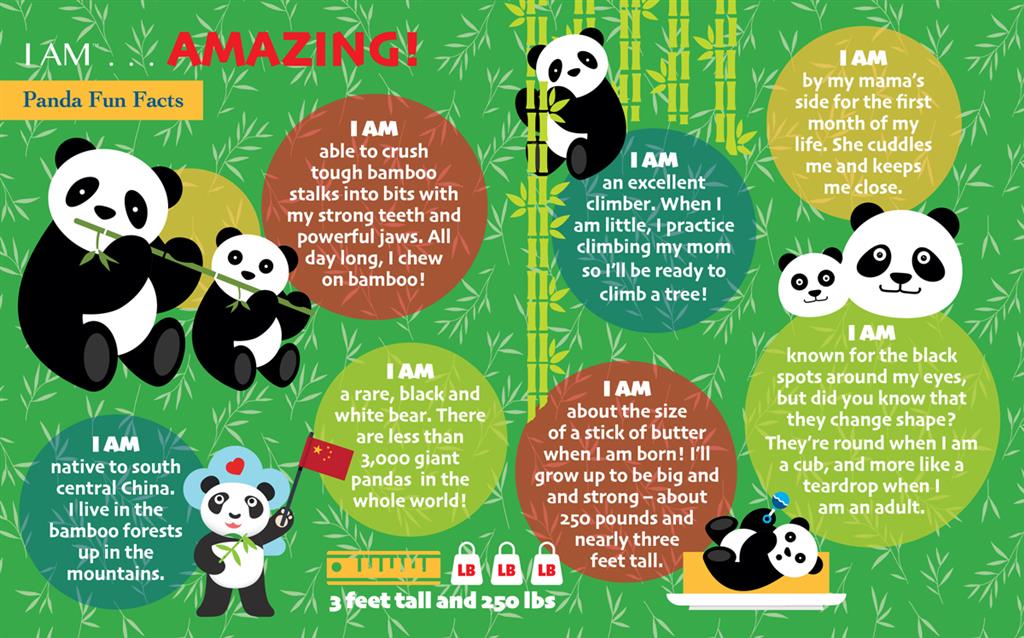 Puzzle Panda