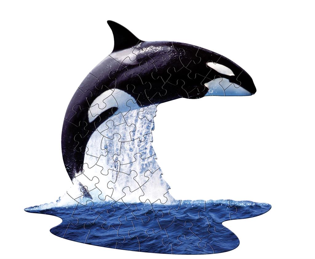 Puzzle Orque