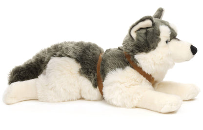 Peluche Husky, couché (avec harnais) Uni Toys
