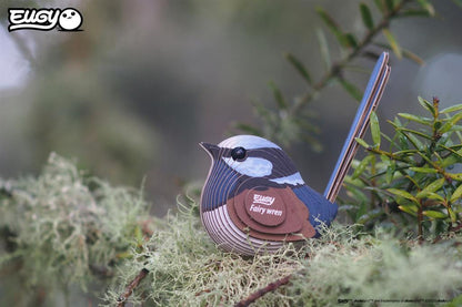 EUGY 3D - Mérion Superbe