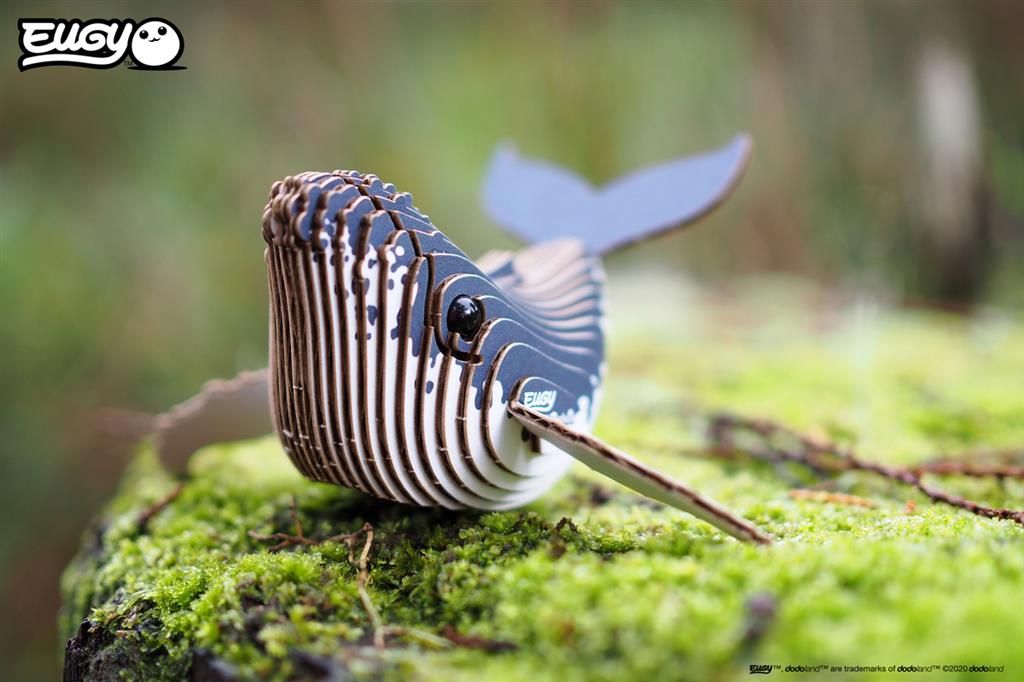 EUGY 3D - Baleine à Bosse