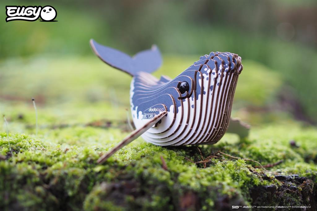 EUGY 3D - Baleine à Bosse
