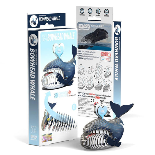 EUGY 3D - Baleine Boréale