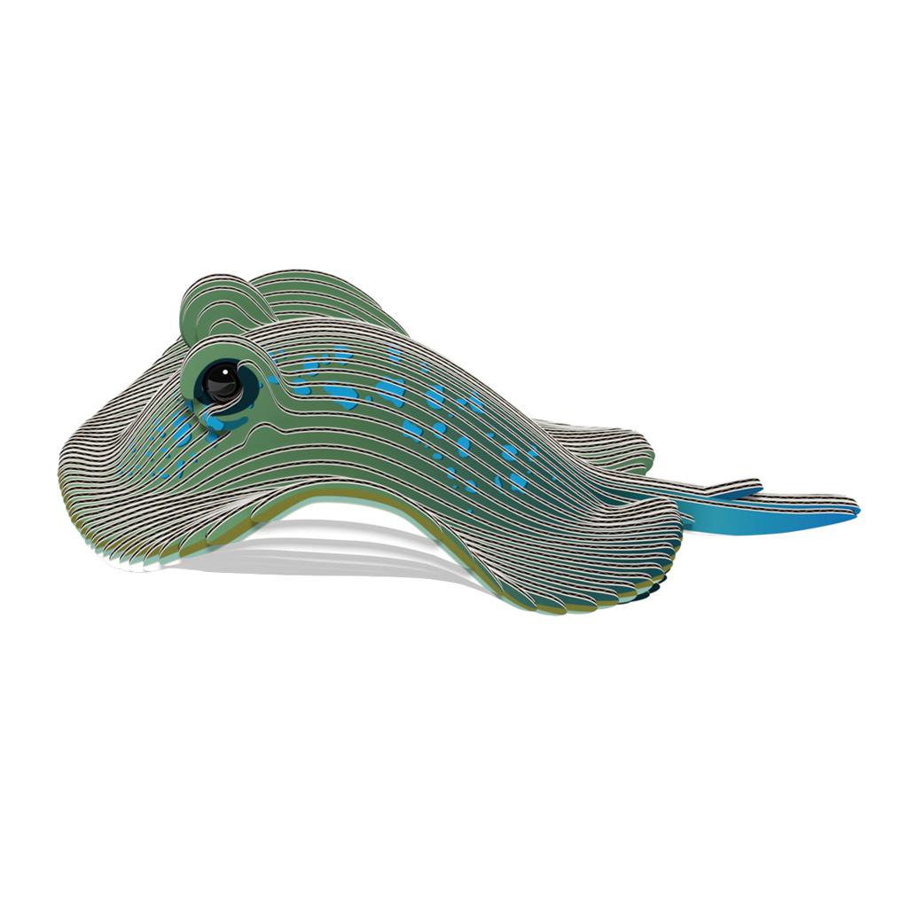 EUGY 3D - Raie