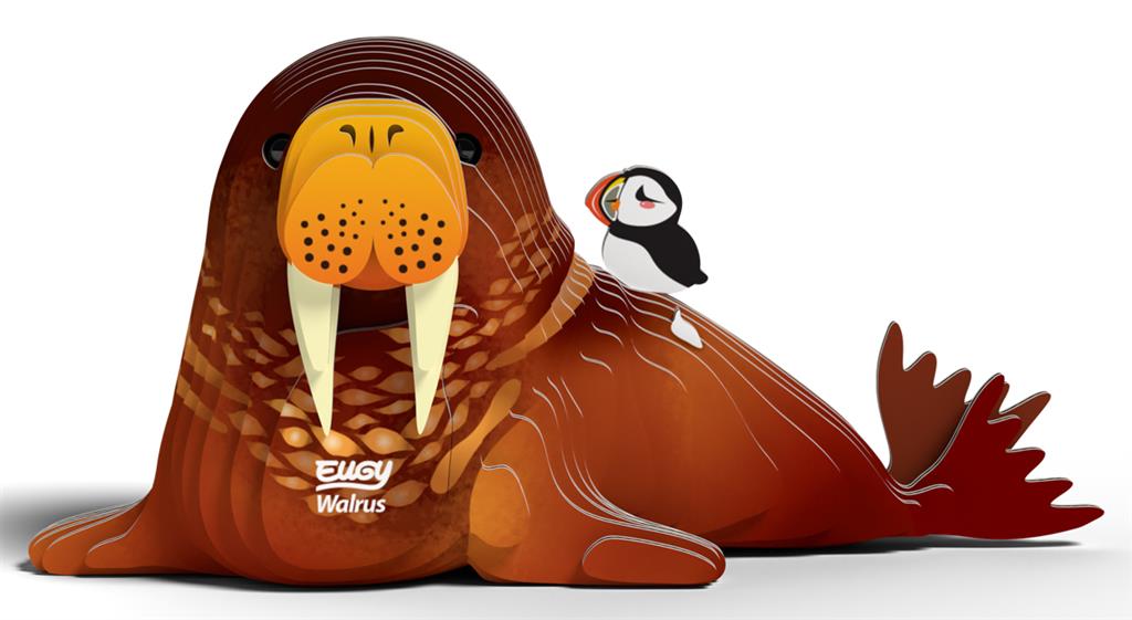 EUGY 3D - Morse