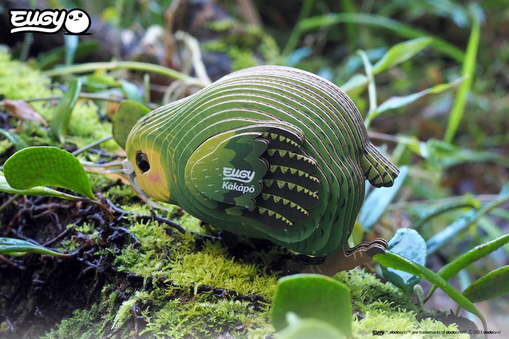 EUGY 3D - Kakapo