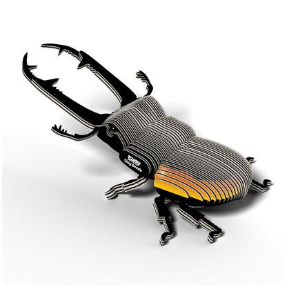 EUGY 3D - Coléoptère Lucanidae