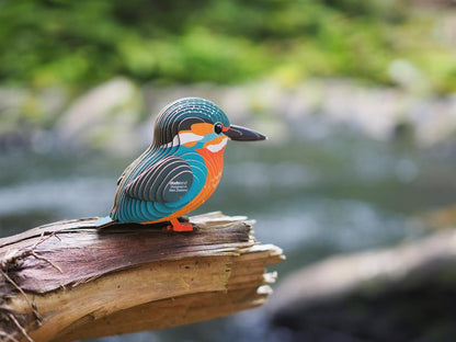 EUGY 3D - Martin-Pêcheur