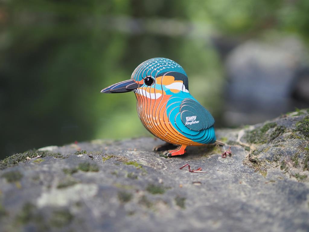 EUGY 3D - Martin-Pêcheur