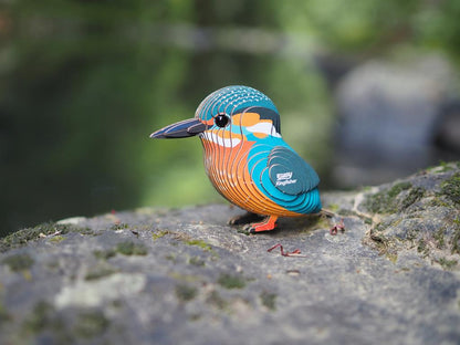 EUGY 3D - Martin-Pêcheur