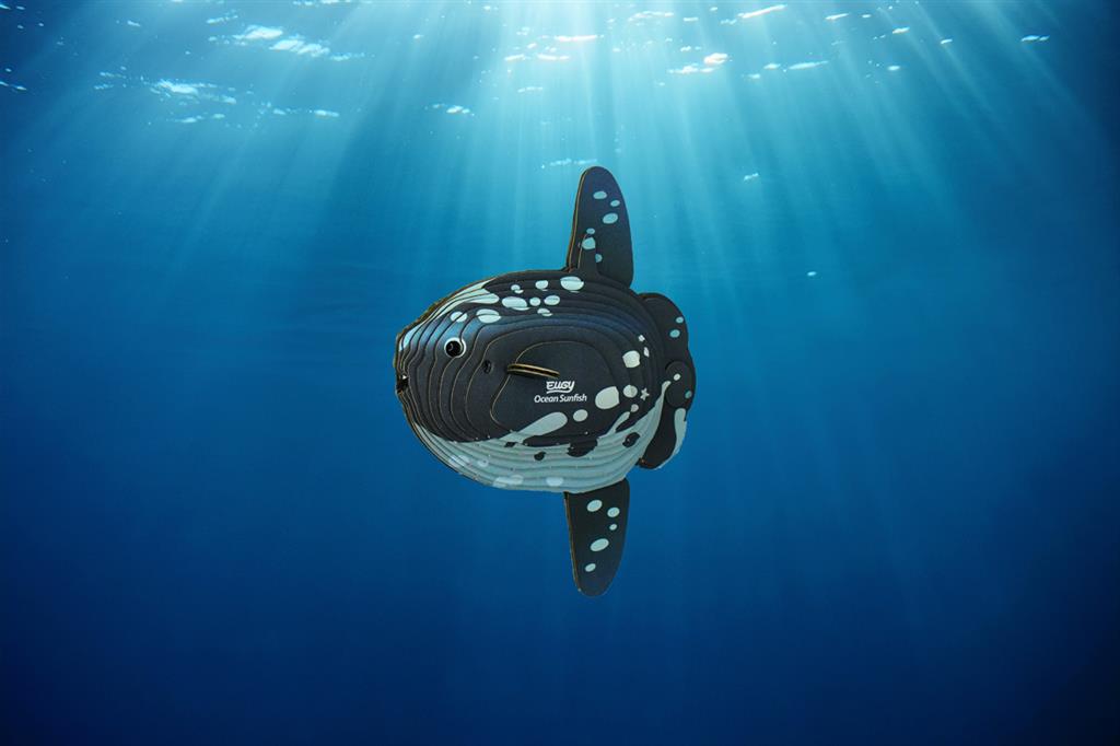 EUGY 3D - Poisson Lune