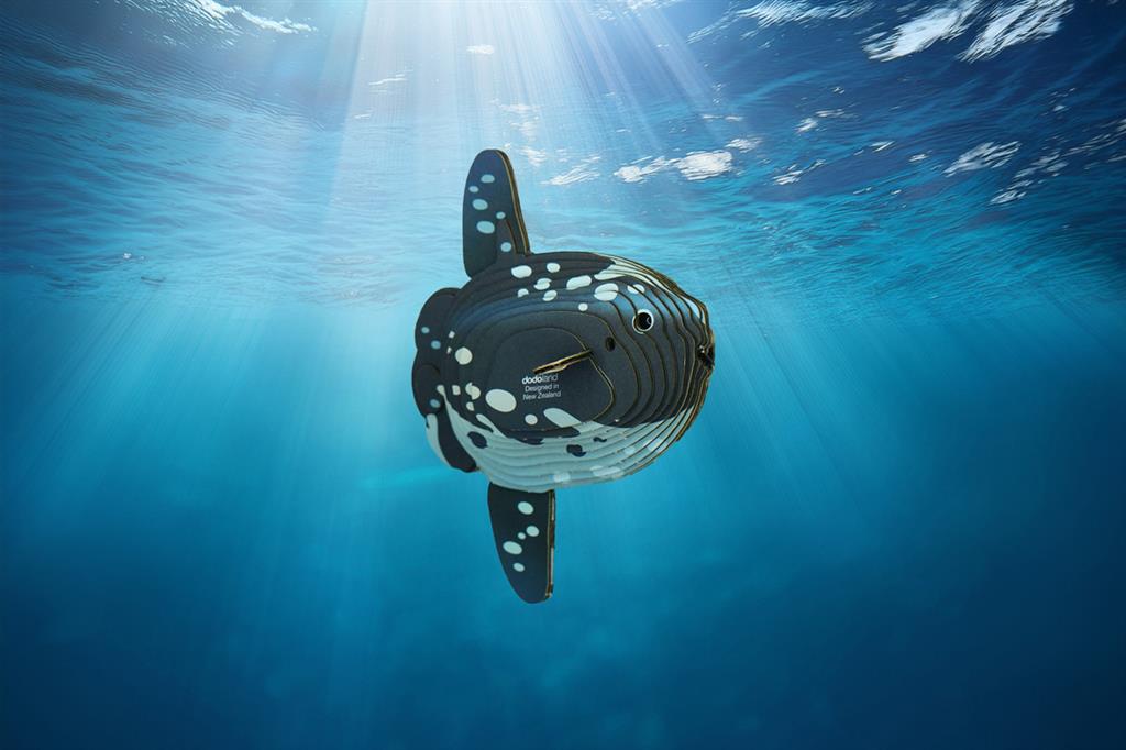 EUGY 3D - Poisson Lune