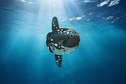 EUGY 3D - Poisson Lune