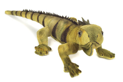 Peluche Iguane