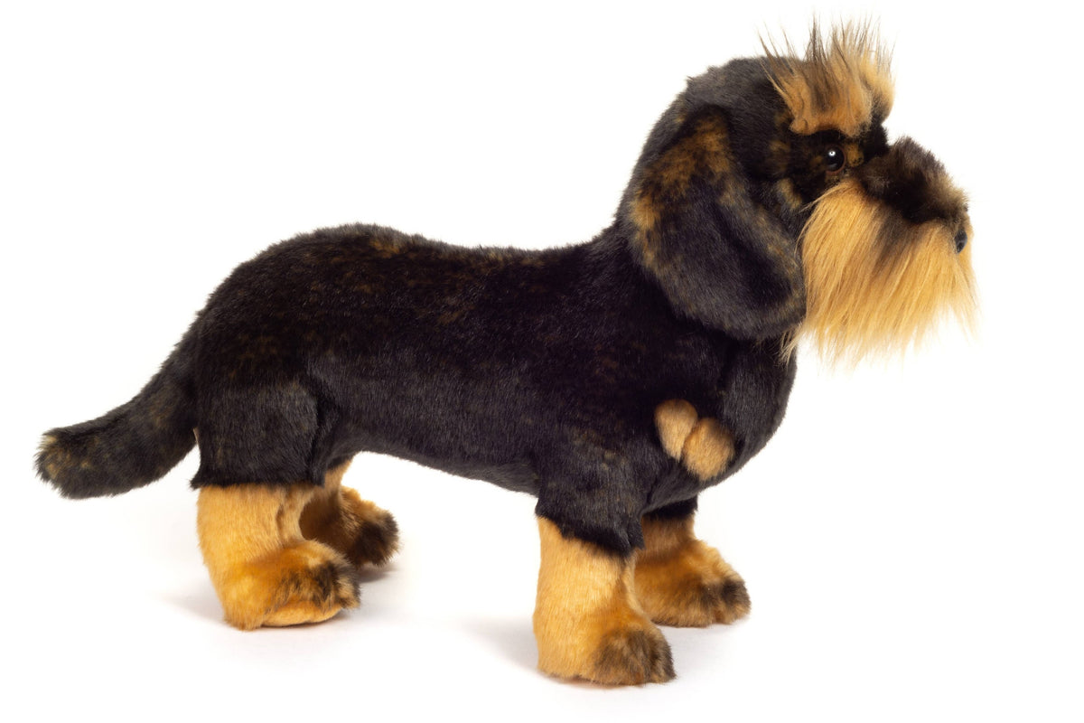 Peluche Teckel à Poil Debout - Teddy Hermann