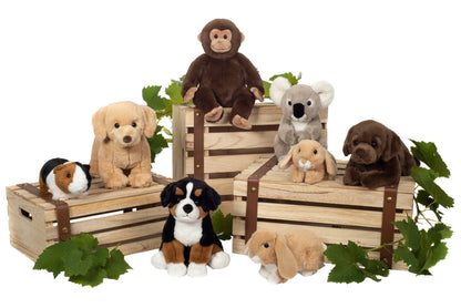 Peluche Singe assis