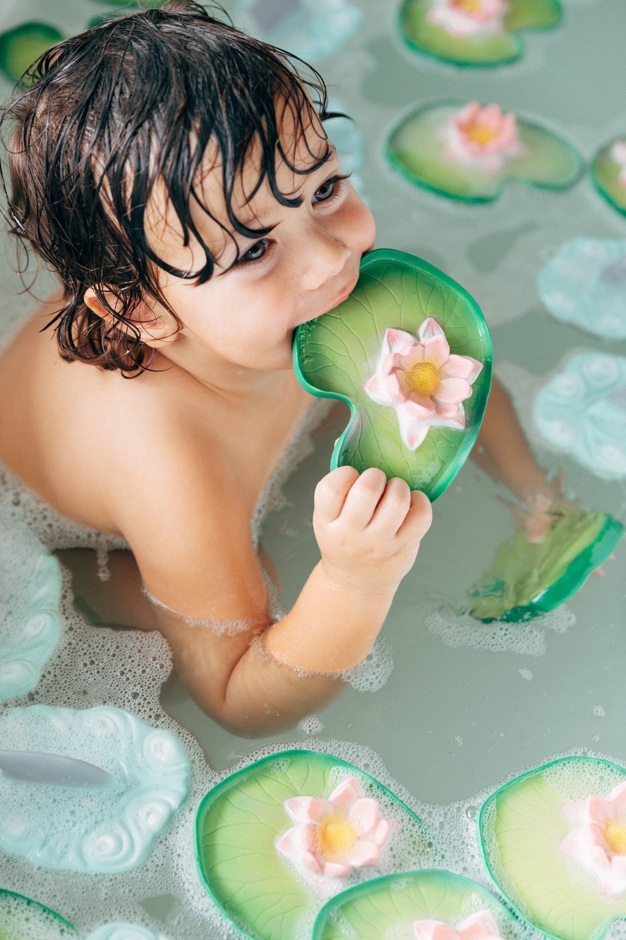 Produit Nénuphar Water Lily Idée Cadeau