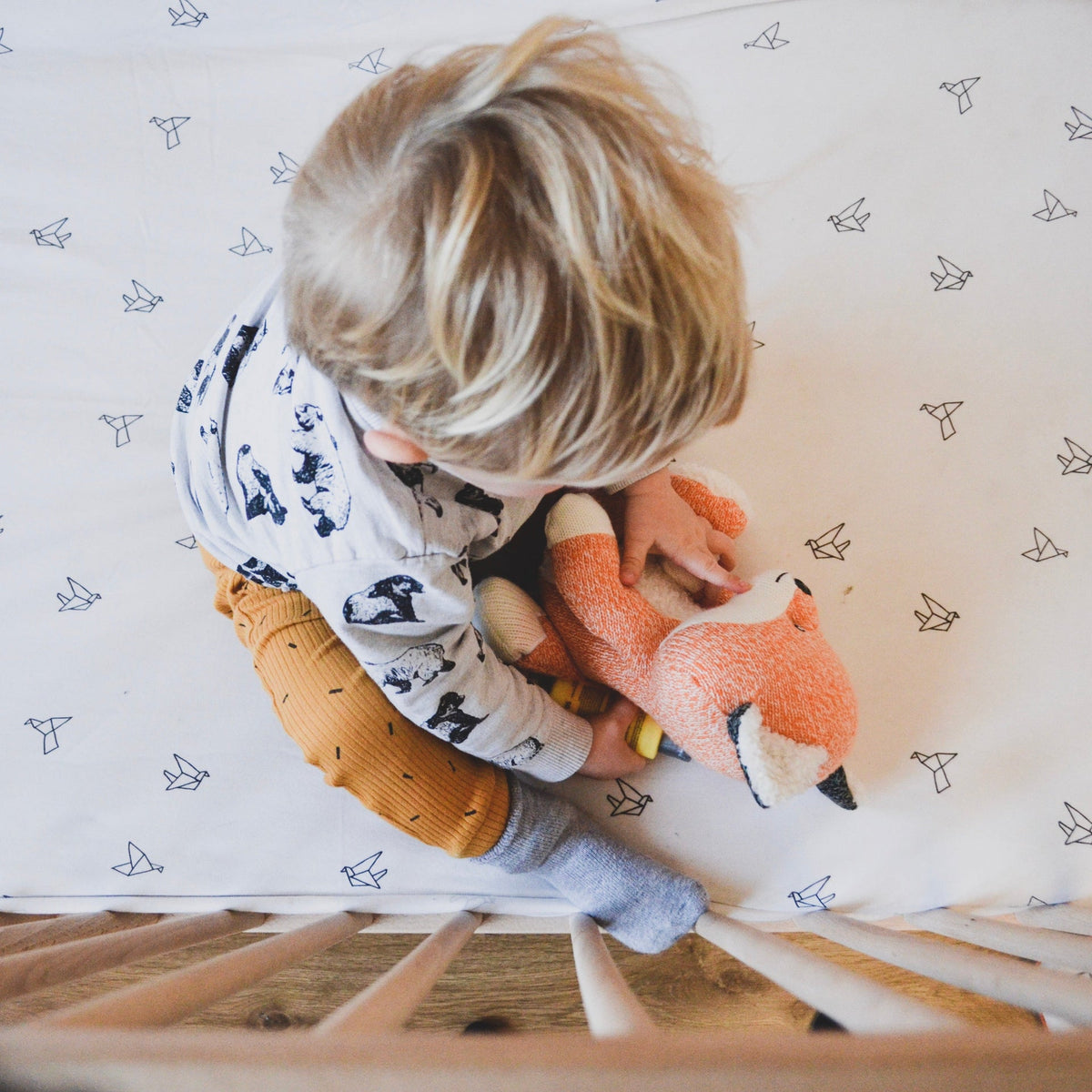 Peluche Bruit Blanc Robin