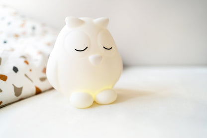 Luz nocturna de Oscar recargable