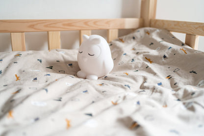 Oplaadbare Oscar Night Light