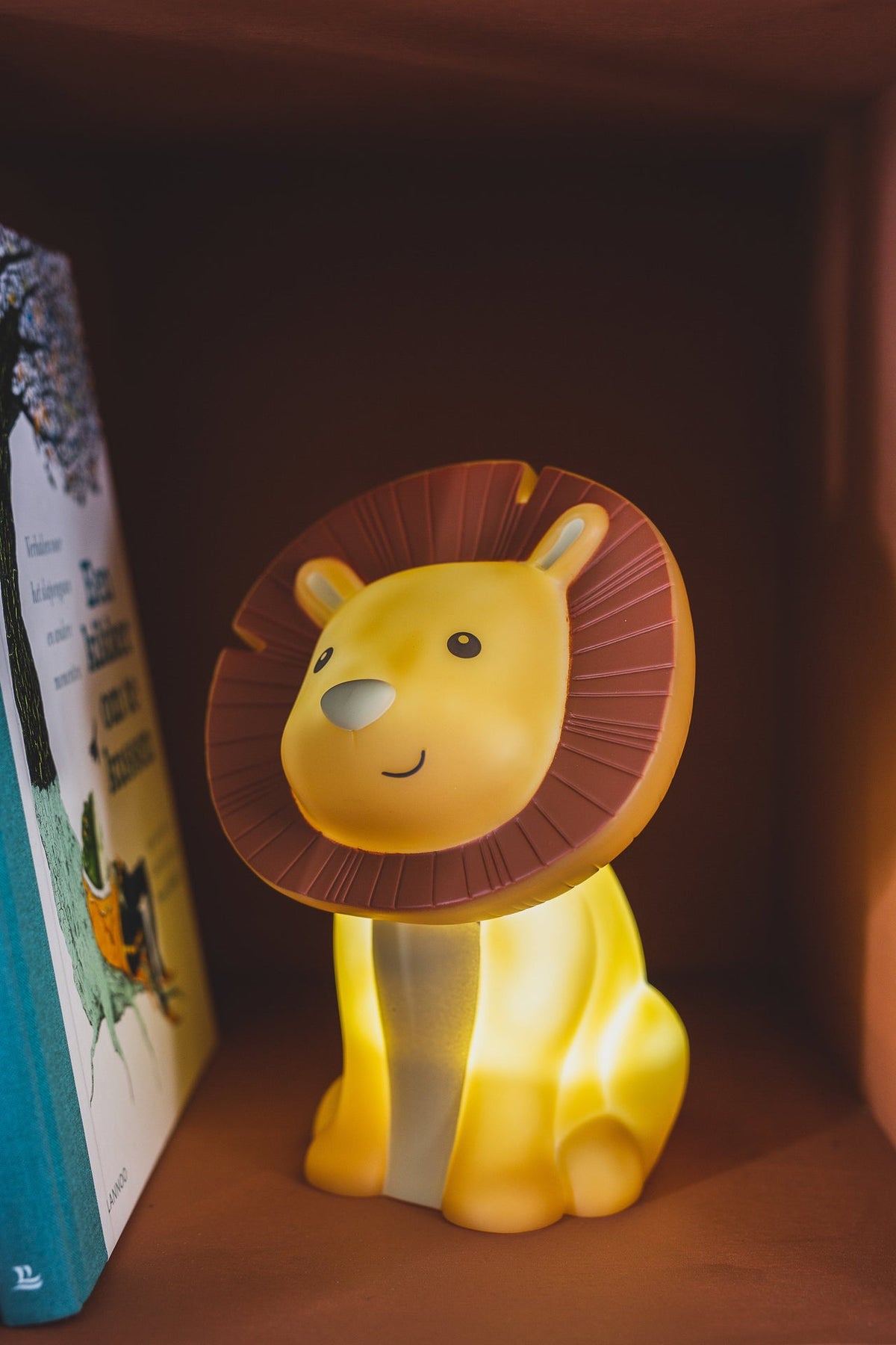 Oplaadbare Hakuna Night Light