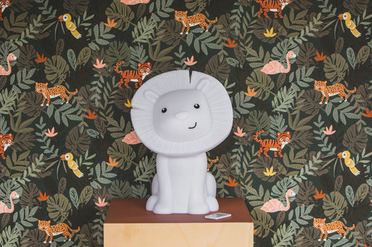 Hakuna Ambiance Bluetooth rechargeable Atelier Pierre Junior