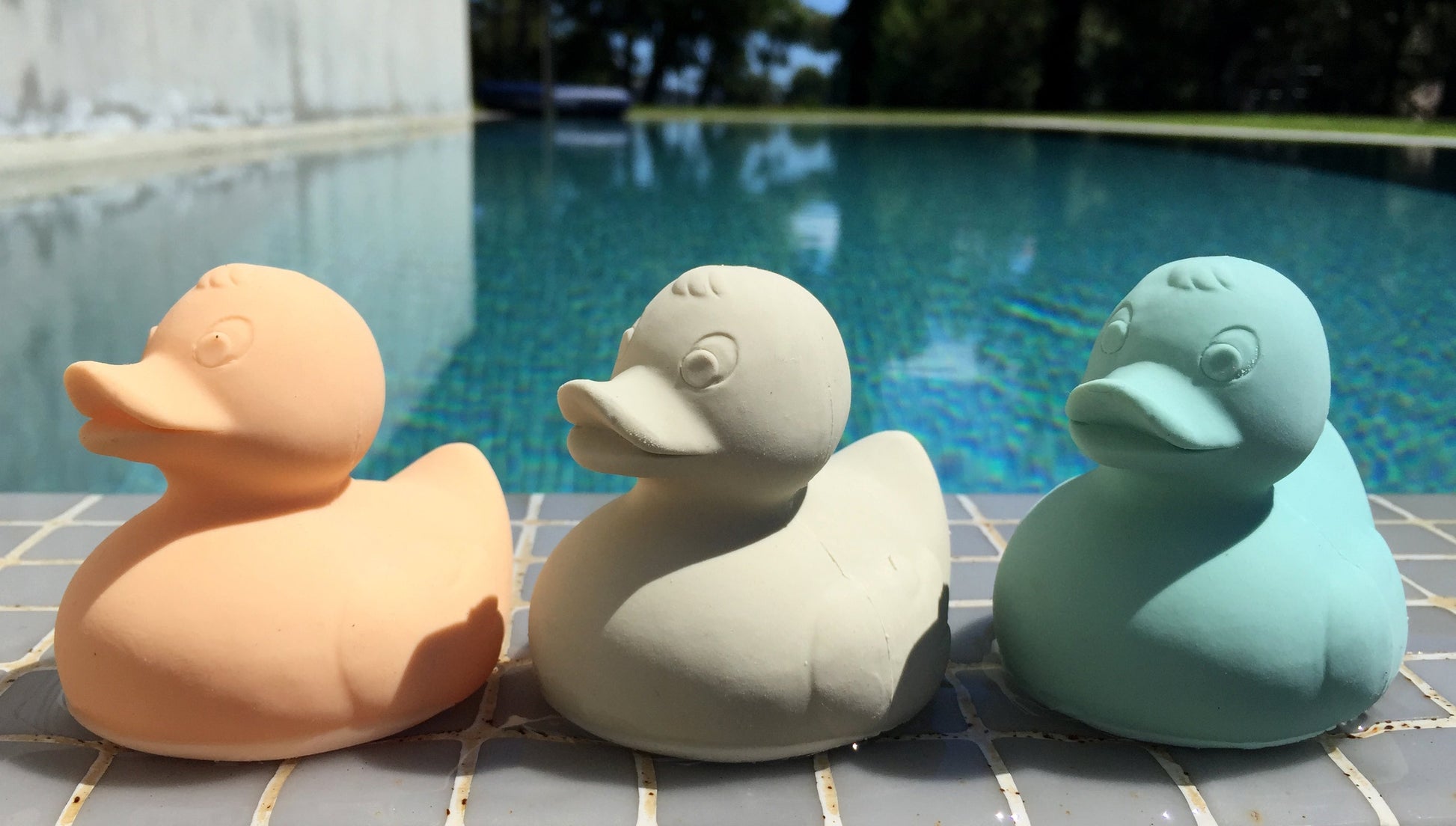 Produit Elvis Le Canard Menthe Idée Cadeau