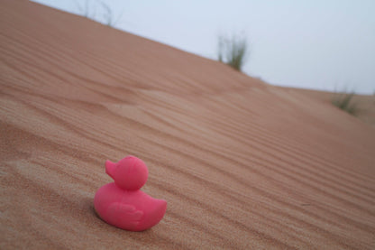 Produit Elvis Le Canard Rose Maison