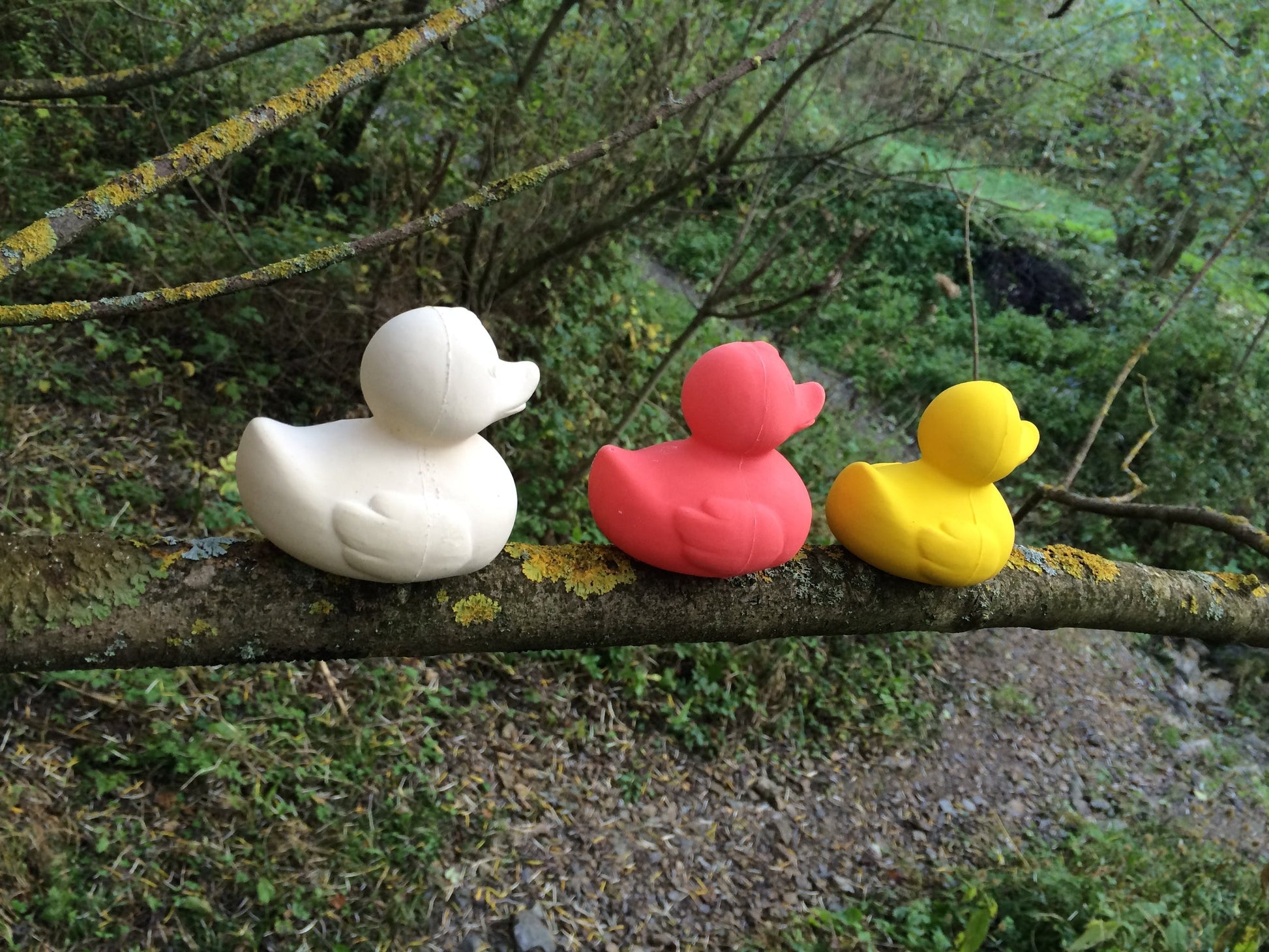 Elvis le Canard Jaune – Jouet de bain et dentition bébé – vue produit 33