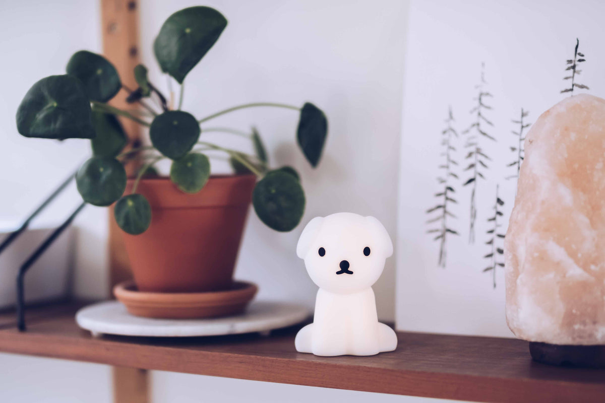 Mini Veilleuse Bundle of Light Miffy & Friends