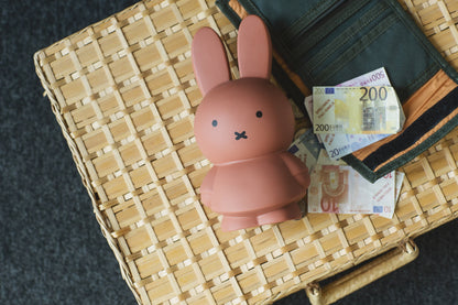 Tirelire Lapin Miffy Warm Edition