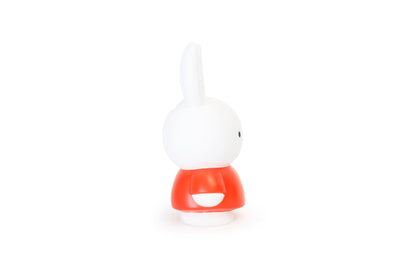 Tirelire Lapin Miffy M