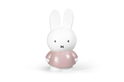 Tirelire Lapin Miffy M