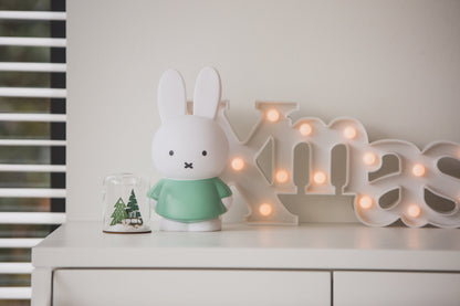 Tirelire Lapin Miffy L