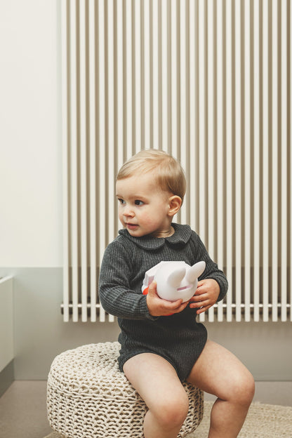 Tirelire Lapin Miffy Livre