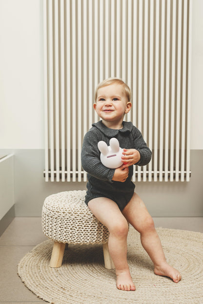 Tirelire Lapin Miffy Livre