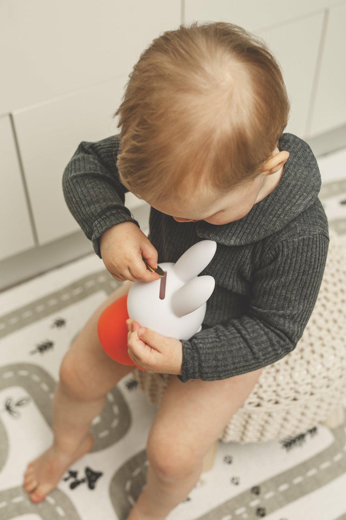 Tirelire Lapin Miffy Livre