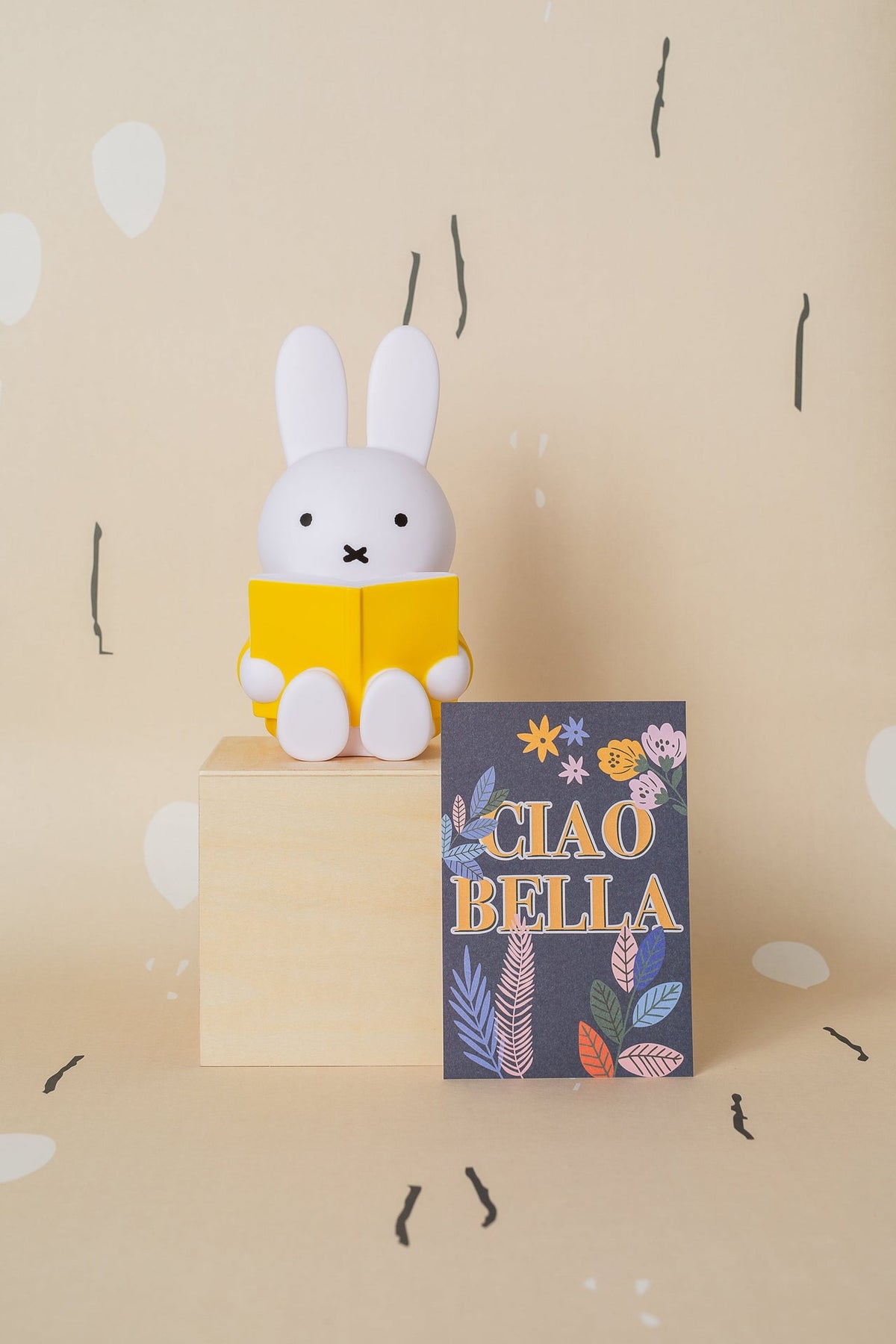 Tirelire Lapin Miffy Livre