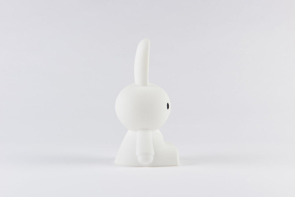 Mini Veilleuse Bundle of Light Miffy & Friends